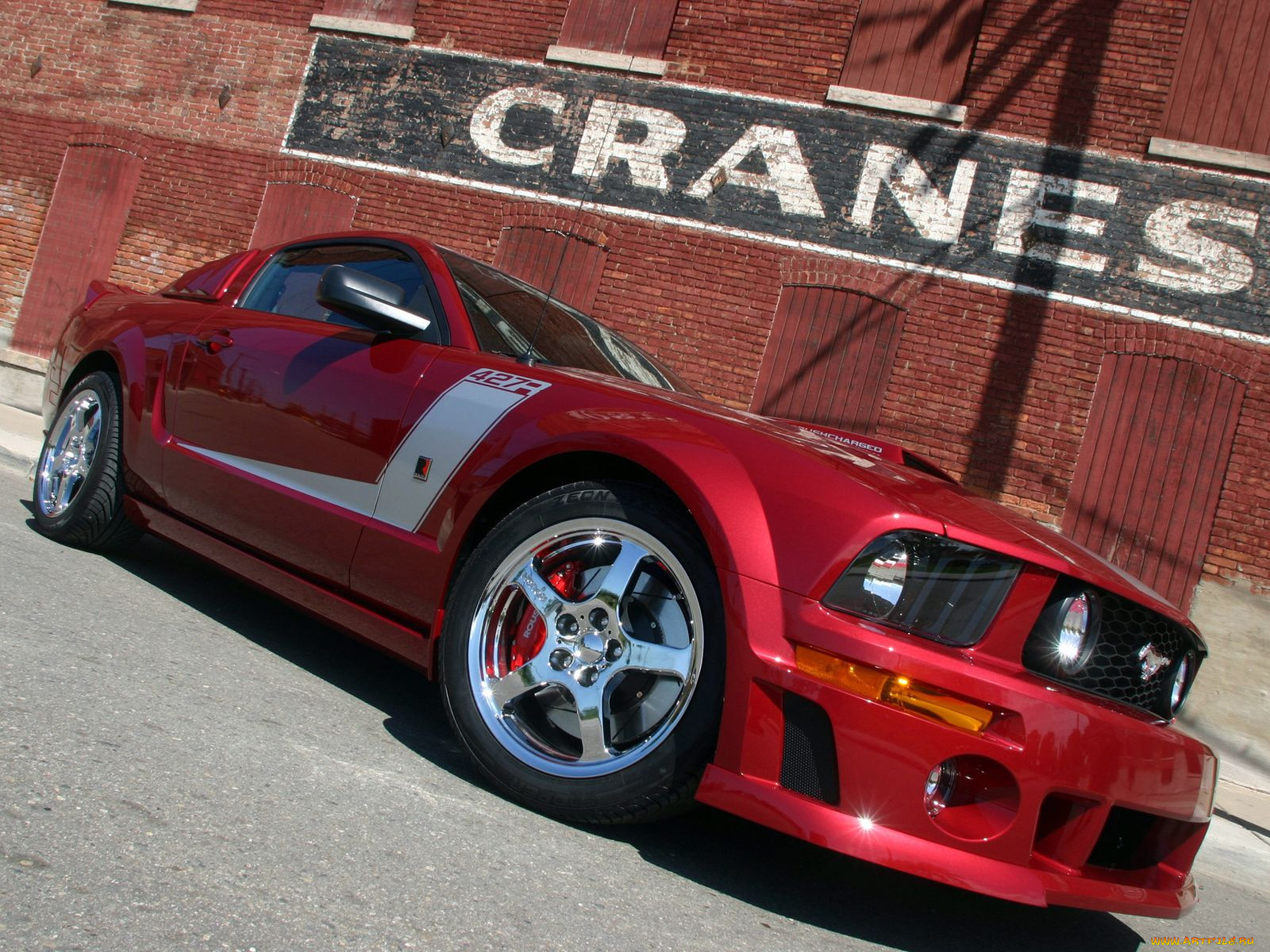, mustang